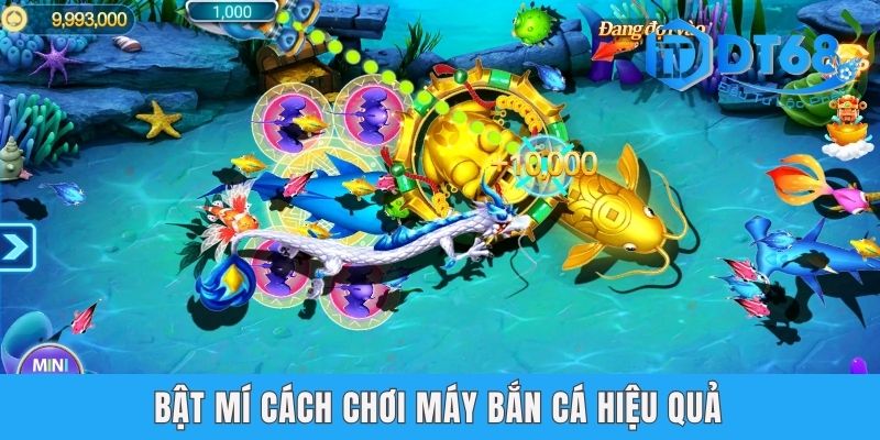 Bật mí cách chơi máy bắn cá hiệu quả